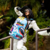 Exhibit Dlxsr Backpack – Image 2
