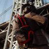 Takeover The Throne Dlxsv Backpack – Image 4