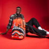 Looney Tunes Shark Run Dlxsr Backpack – Image 2