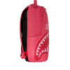 Shark Central Slice – Image 5