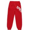 SPRAYGROUND DAILY BAGGY PANTS – Image 2