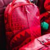 Veni, Vidi, Vici Dlx Backpack – Image 6