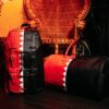 Vertical Shark Cut & Sew Hills Backpack – Image 4